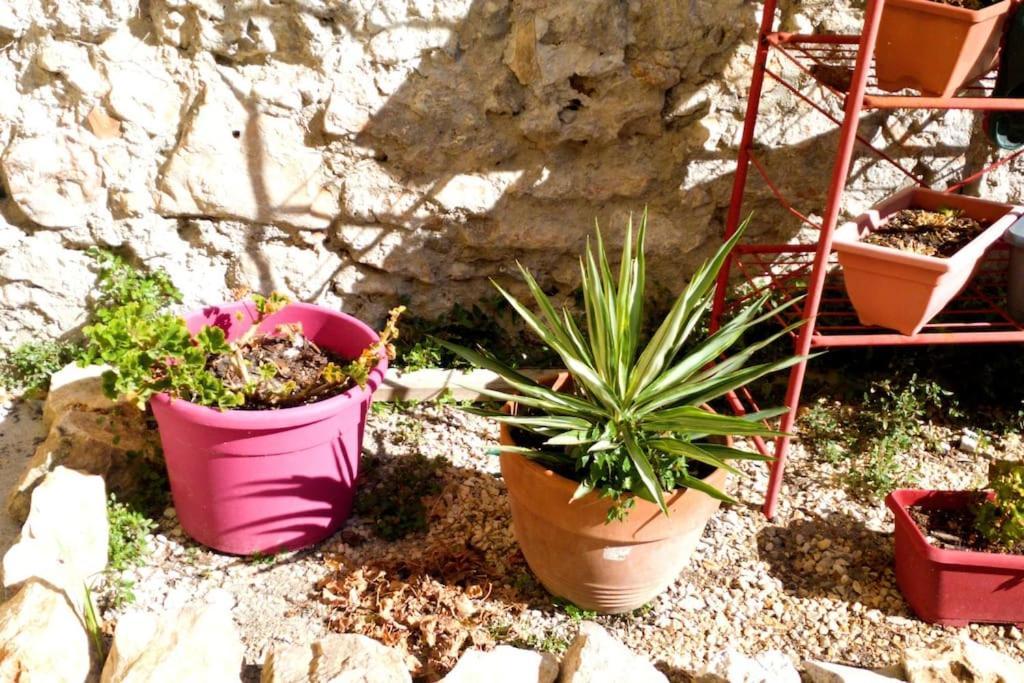 La Perle Rare - Centre-Ville سُت المظهر الخارجي الصورة